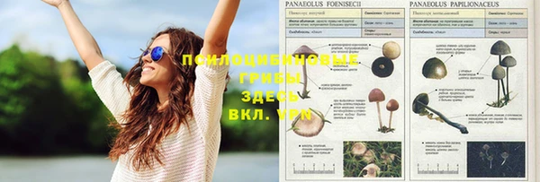круглые Нефтегорск